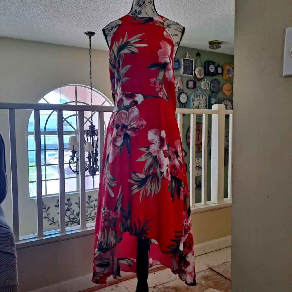 Mlle Gabrielle Red Asymmetrical High-Low Sundress